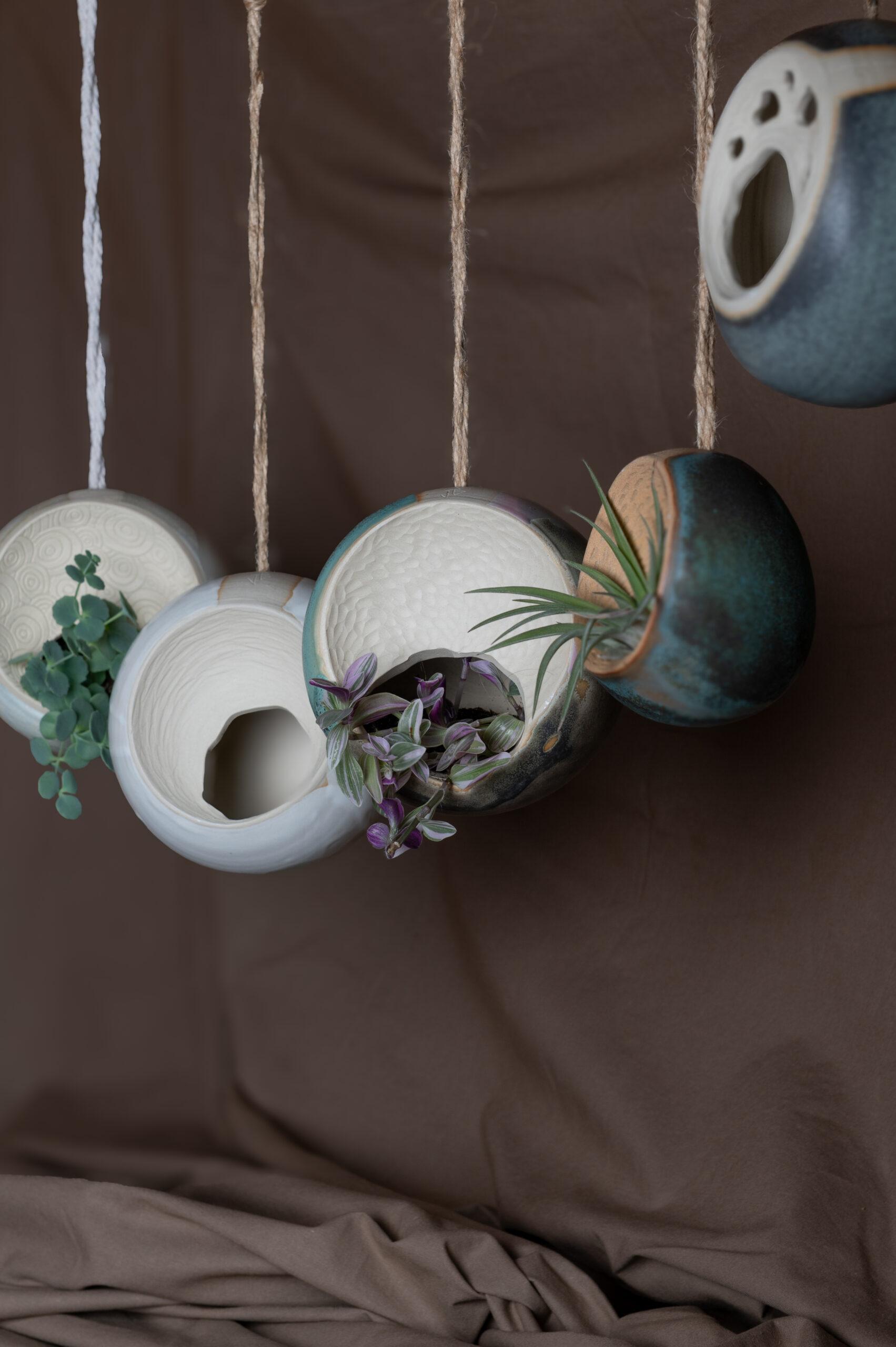 You are currently viewing Suspension